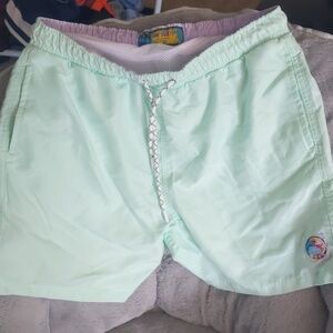 Surf society men's swim shorts size large. Mint color